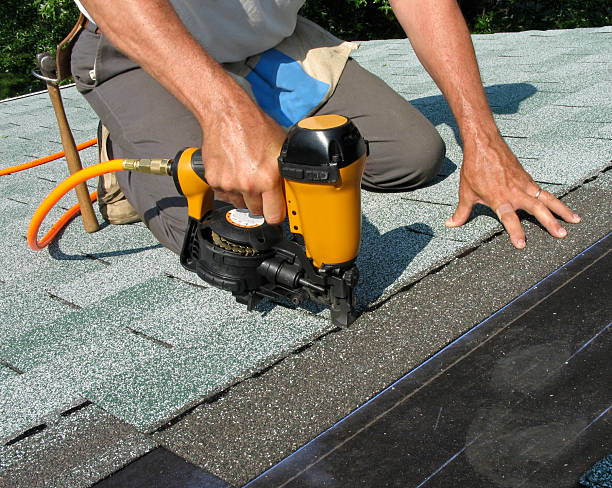 Best Roof Gutter Cleaning  in Iona, FL